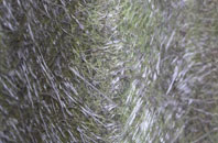 Silkstone fibreglass roof work